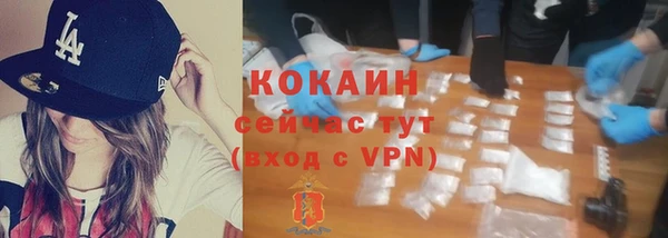 трава Богородицк