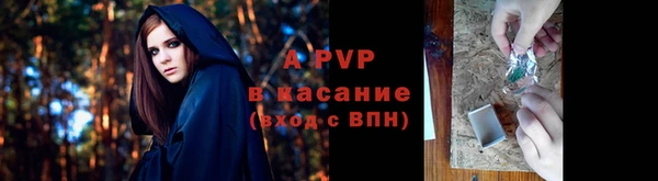 эйфоретик Богородск