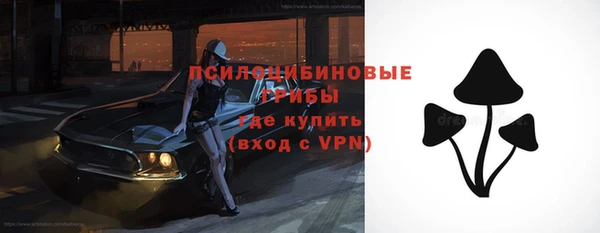 трава Богородицк