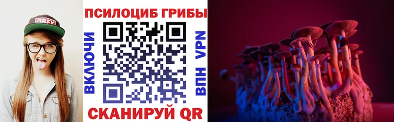 Псилоцибиновые грибы GOLDEN TEACHER как найти Кодинск